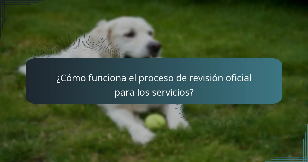 ¿Cómo funciona el proceso de revisión oficial para los servicios?